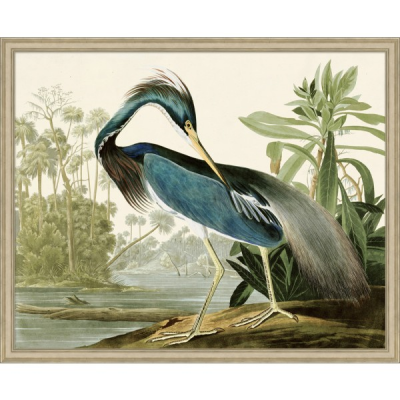 Audubons Blue Heron